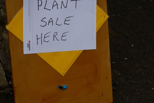 Stirling and Clacks Scottish Liberal Democrats Plant Sale